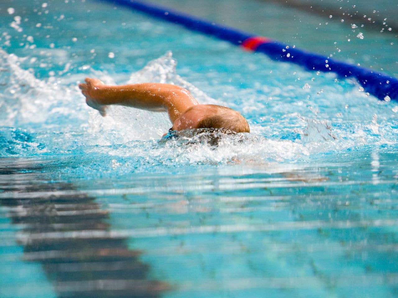 Swimmer in the water