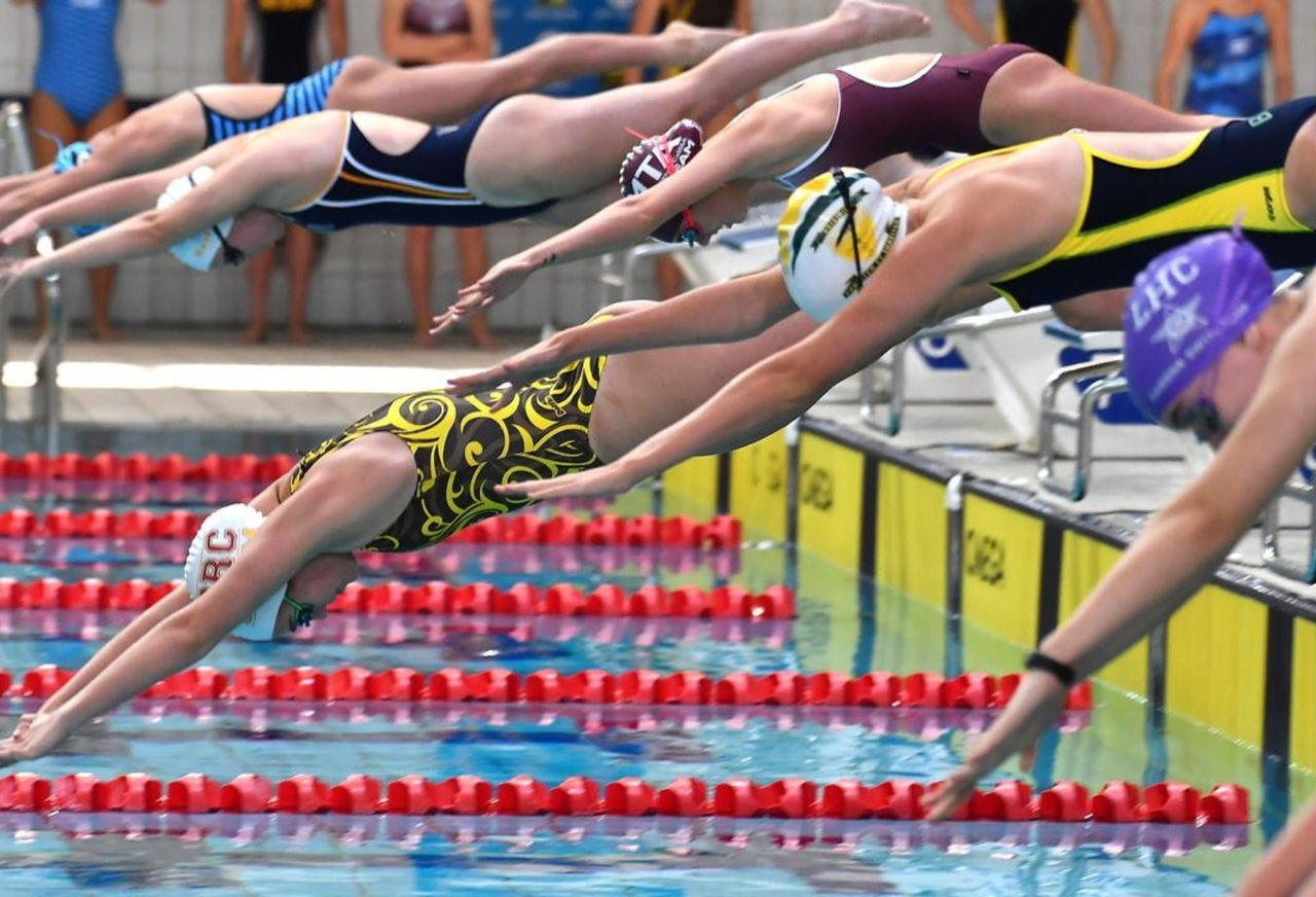 Swimmers diving off the blocks