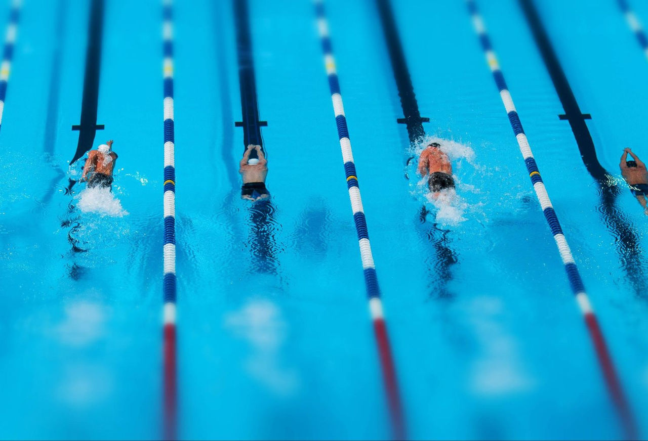 Overhead shot of people swimming
