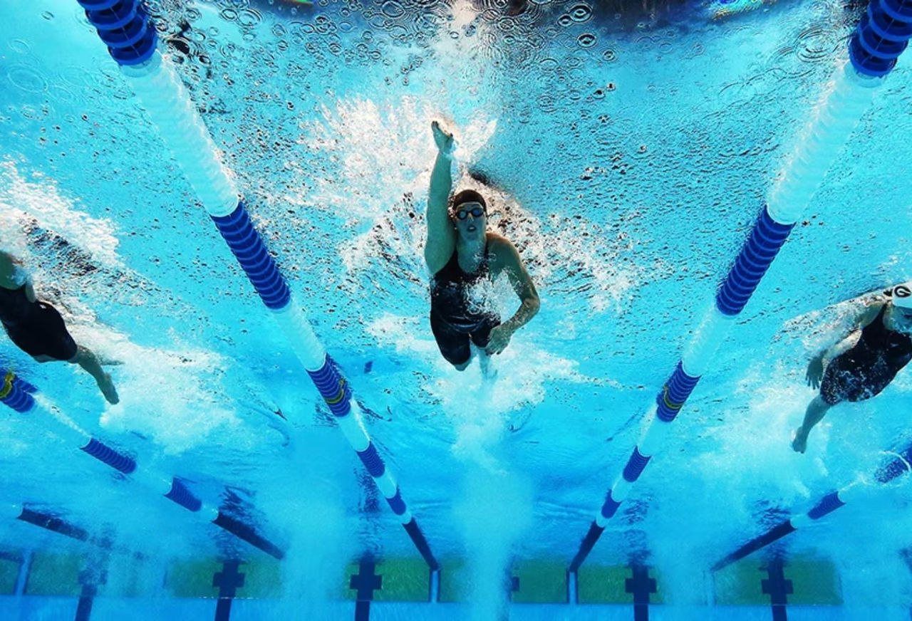 Swimming freestyle 