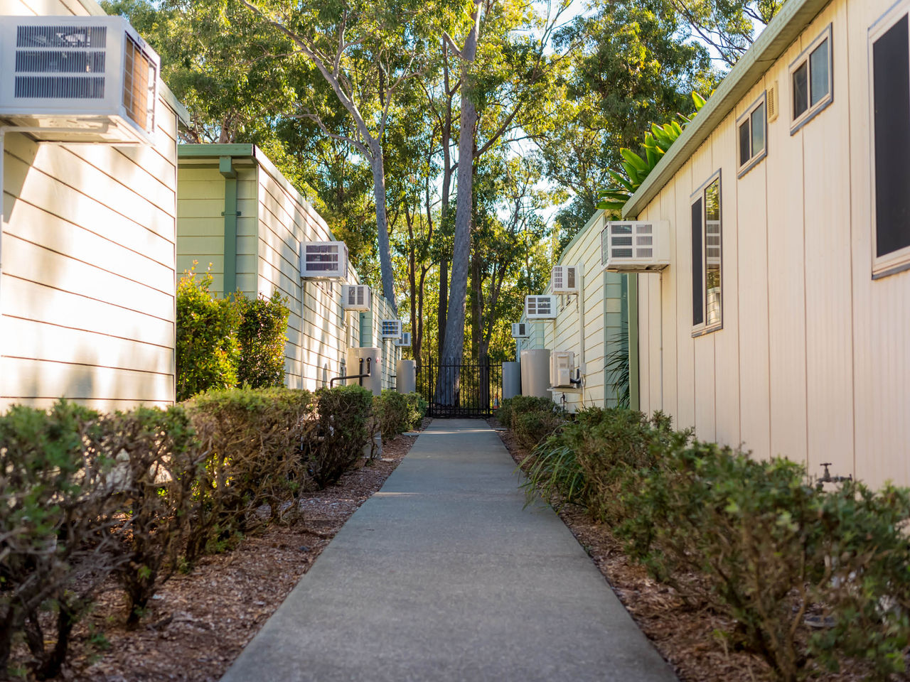 Pathway between Cabins